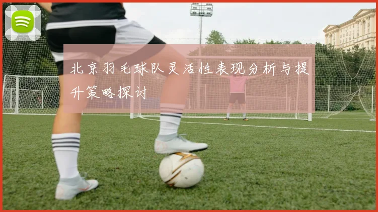 北京羽毛球队灵活性表现分析与提升策略探讨