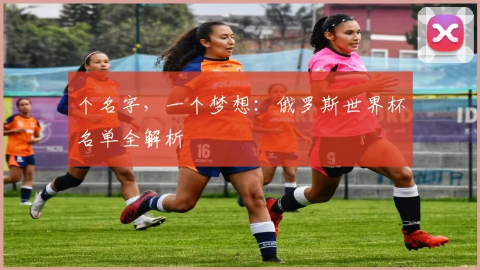 个名字，一个梦想：俄罗斯世界杯名单全解析