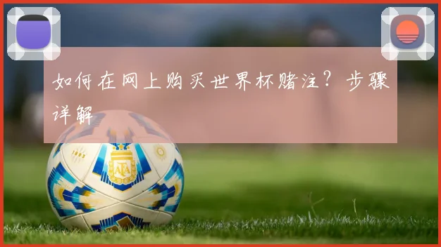 如何在网上购买世界杯赌注？步骤详解