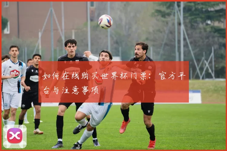 如何在线购买世界杯门票：官方平台与注意事项