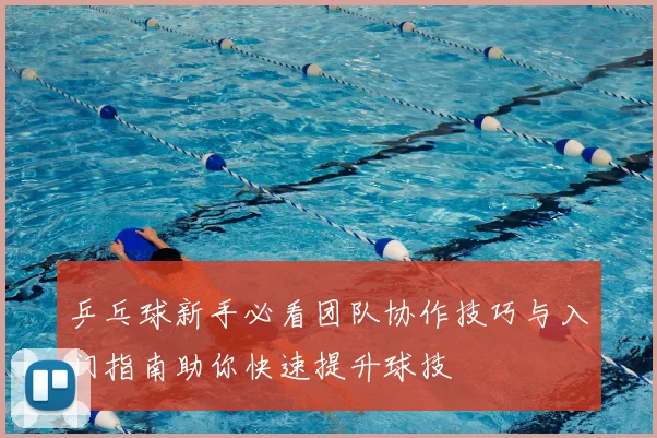 乒乓球新手必看团队协作技巧与入门指南助你快速提升球技