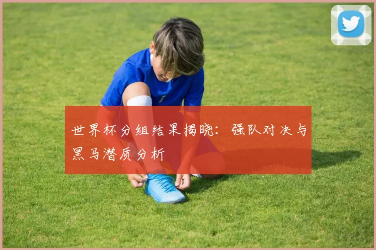 世界杯分组结果揭晓：强队对决与黑马潜质分析