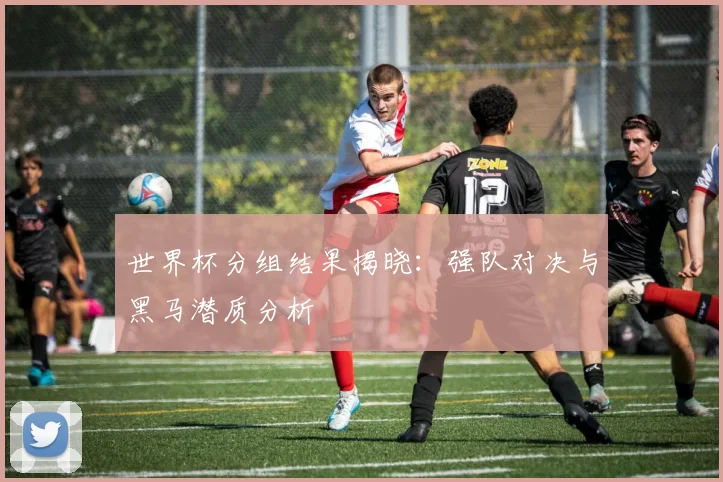 世界杯分组结果揭晓：强队对决与黑马潜质分析