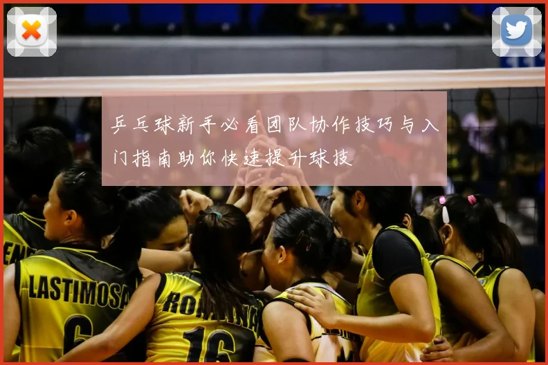 乒乓球新手必看团队协作技巧与入门指南助你快速提升球技