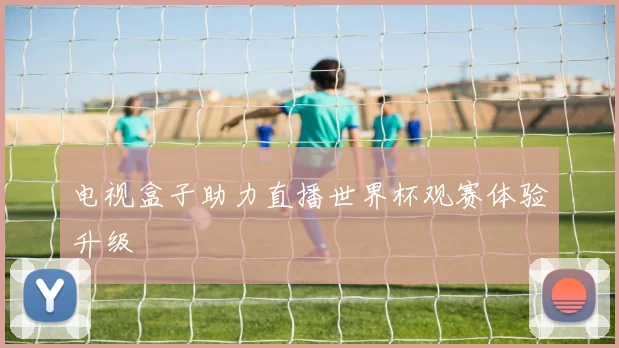电视盒子助力直播世界杯观赛体验升级