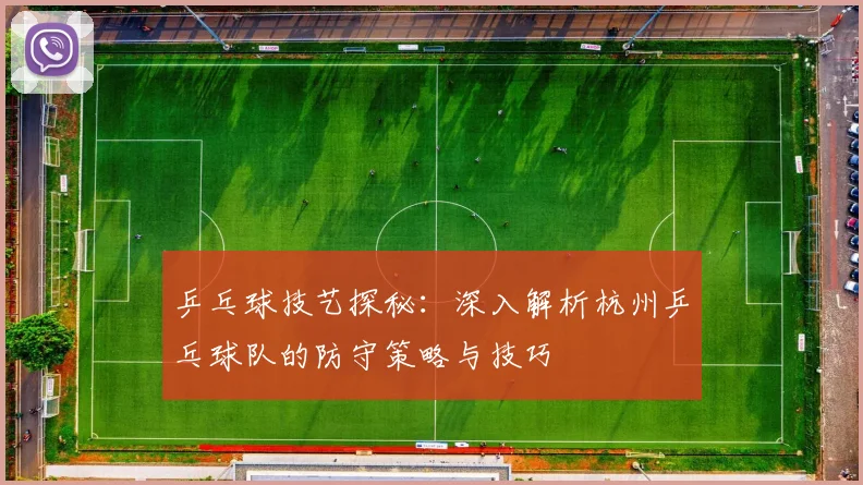 乒乓球技艺探秘:深入解析杭州乒乓球队的防守策略与技巧