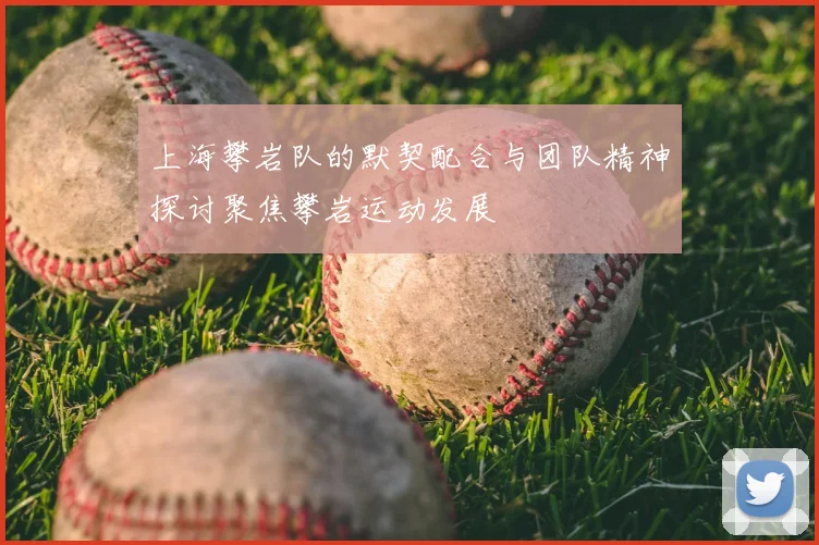 上海攀岩队的默契配合与团队精神探讨聚焦攀岩运动发展